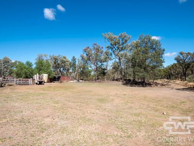 1043 Wallangra Road, Wallangra