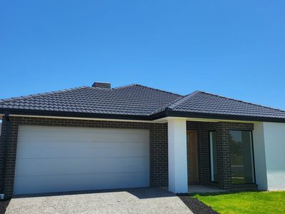 21 Orchid Avenue, Harkness