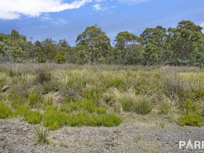 2235 East Tamar Highway, Mount Direction