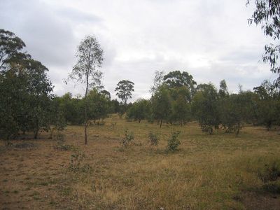 C / A 19J MT CAMEL-GREYTOWN ROAD, Redcastle