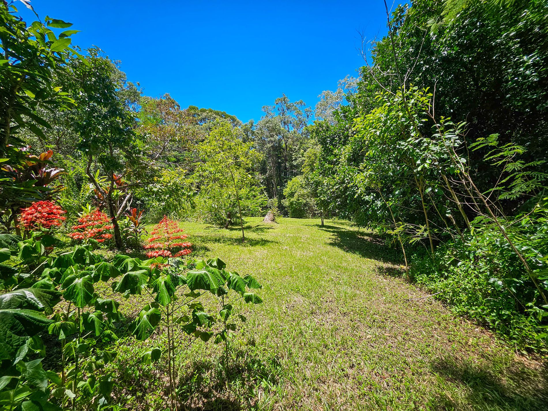 6 Byers Creek Road, Rossville