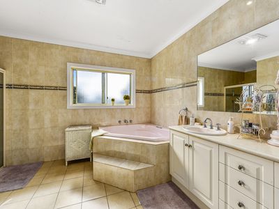 159 Williams Road, Millicent