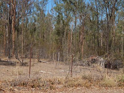 Lot 8, 52 Sandy Ridges Road, Nanango