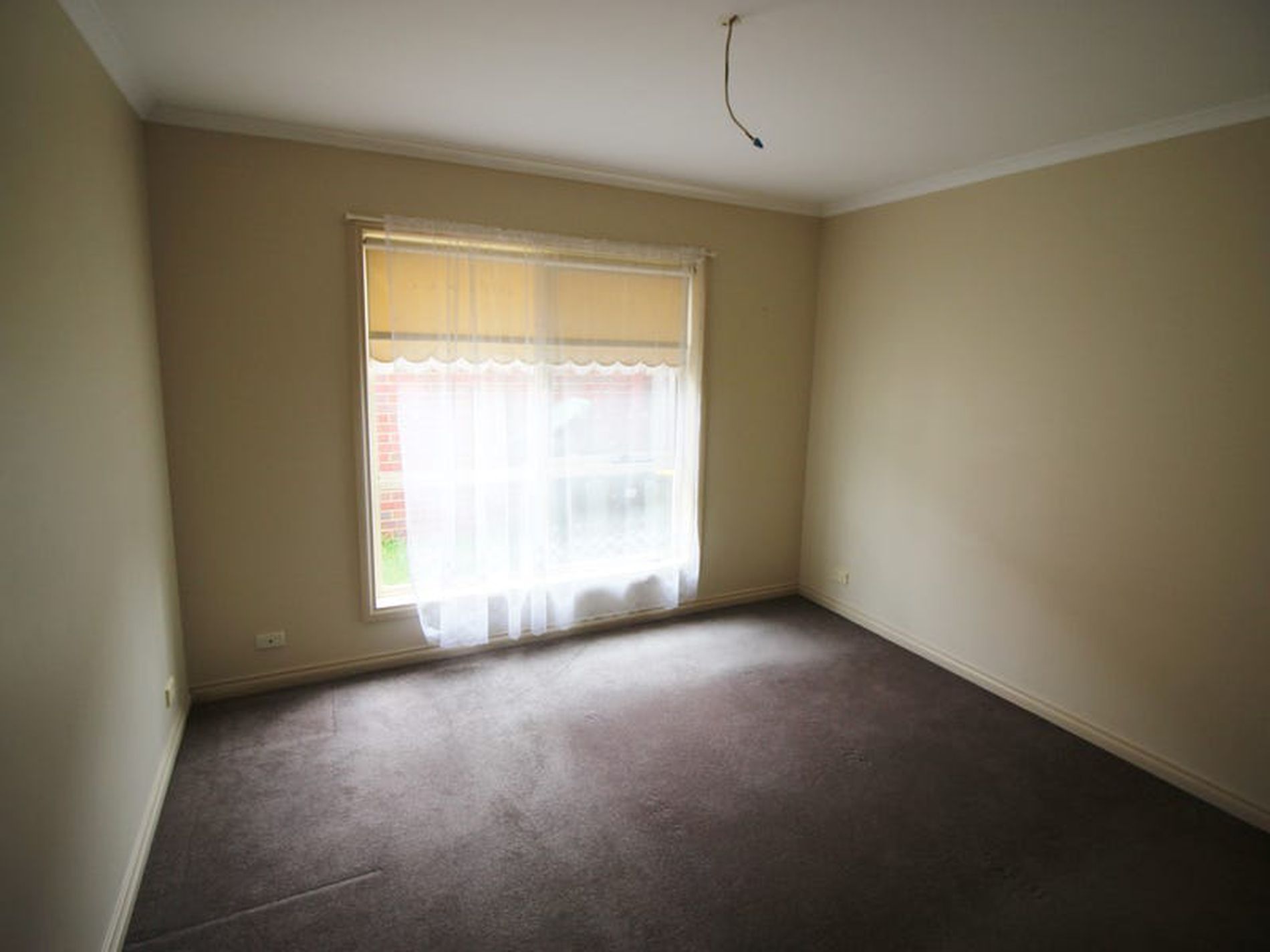 3 / 16 Balliang Street, South Geelong