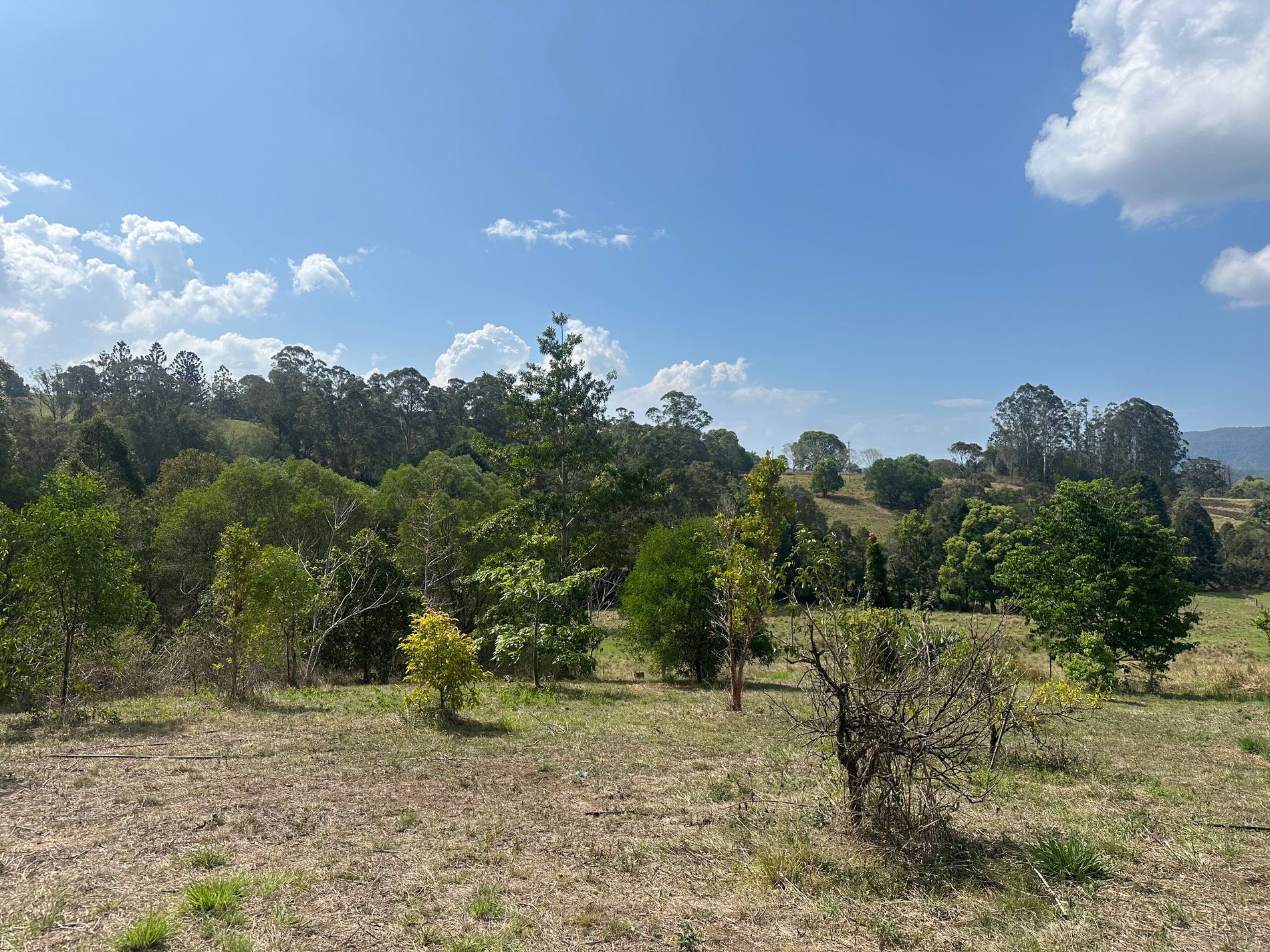 147 Kidaman Creek Road, Kidaman Creek