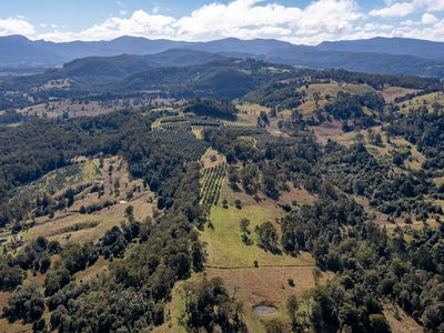 1740  Nimbin Road, Koonorigan