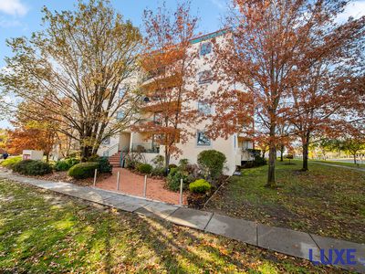 201 / 107 Canberra Avenue, Griffith