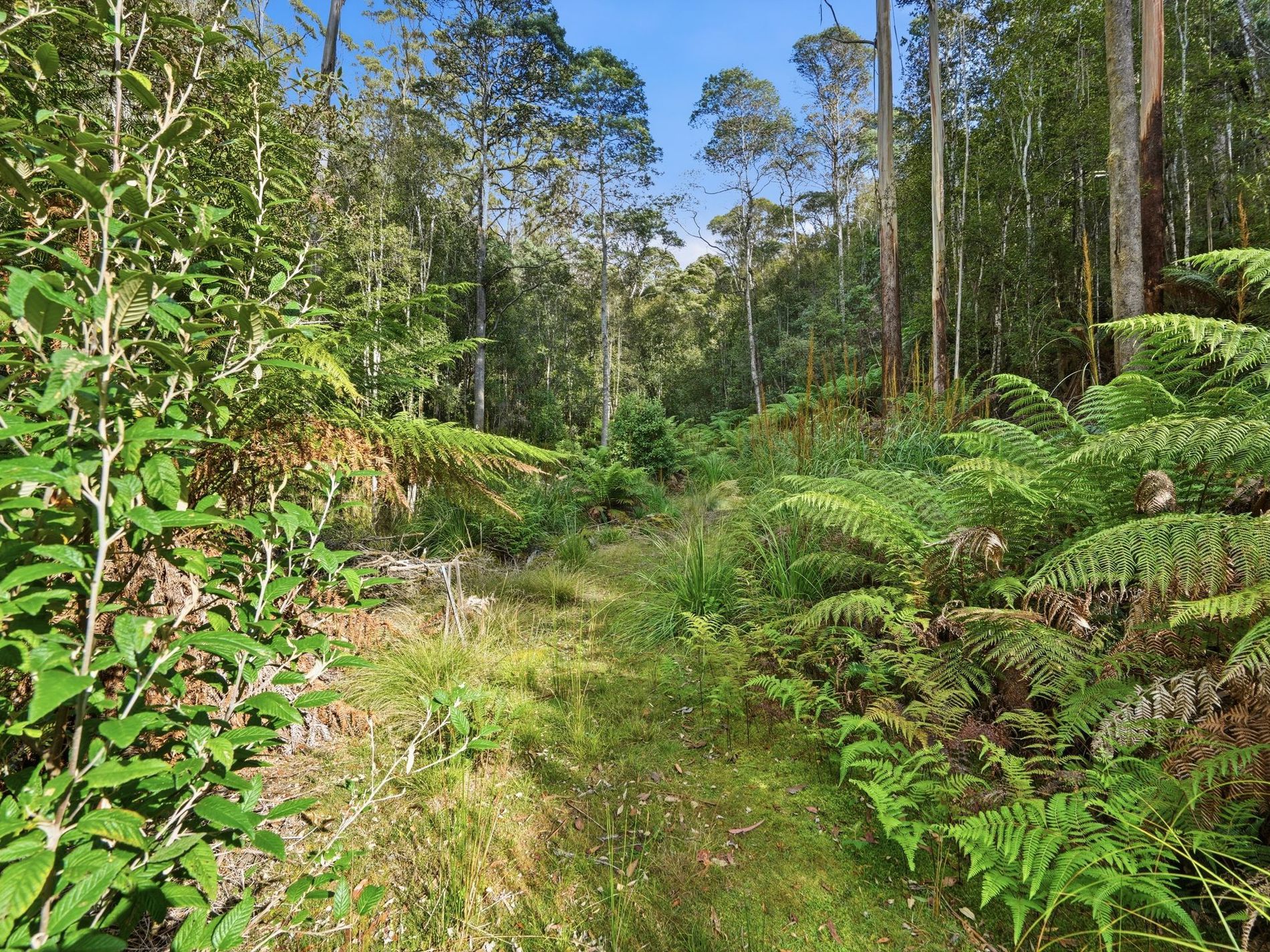 111 Underwoods Road, Nicholls Rivulet