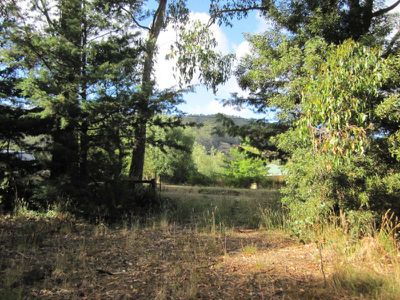 Lot 1 Lanes Road, Glen Huon