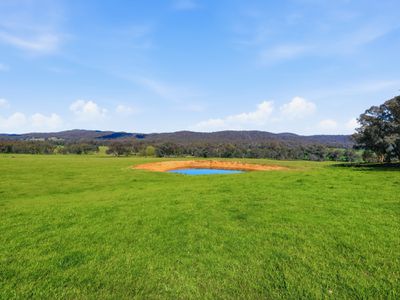 1129 Moyhu-Meadow Creek Road, Meadow Creek