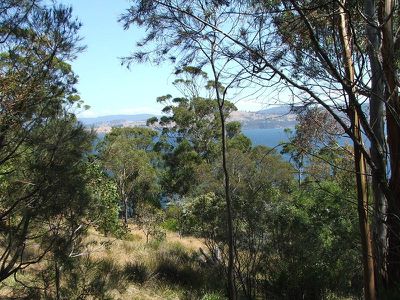 109 Williams Road, Randalls Bay