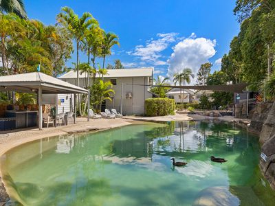 51 / 67 Gibson Road, Noosaville