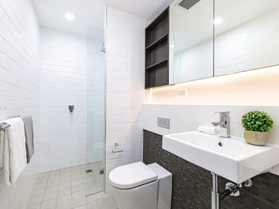 502 / 1 Brightwell Lane, Erskineville