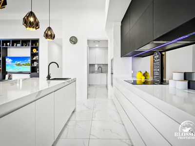 57 Ribbonwood Crescent, Marsden Park