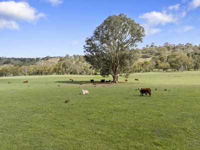 1477 Mansfield-Whitfield Road , Bridge Creek