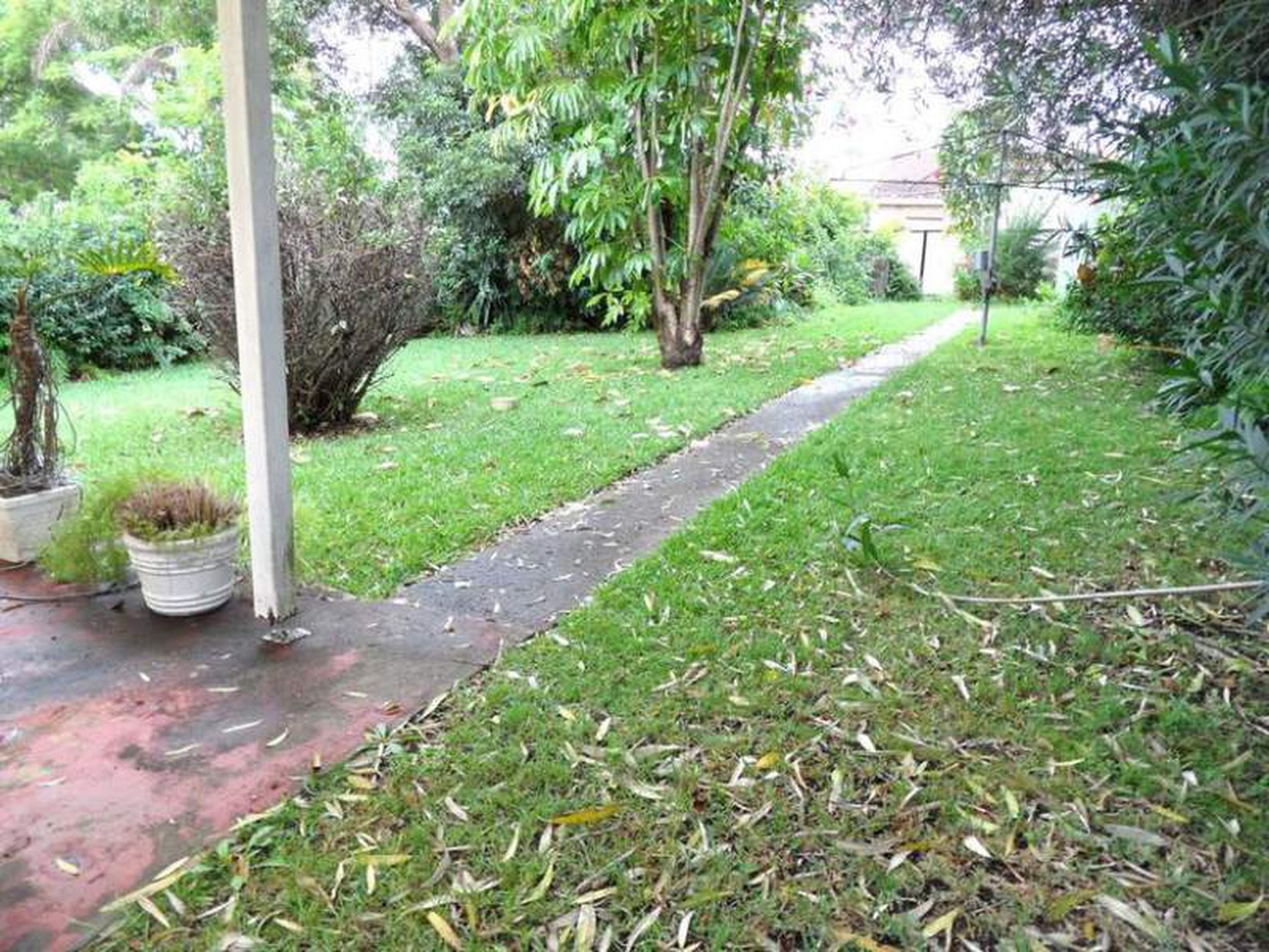 11 Sackville Street, Bardwell Valley