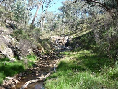 Little Billabong Road, Holbrook