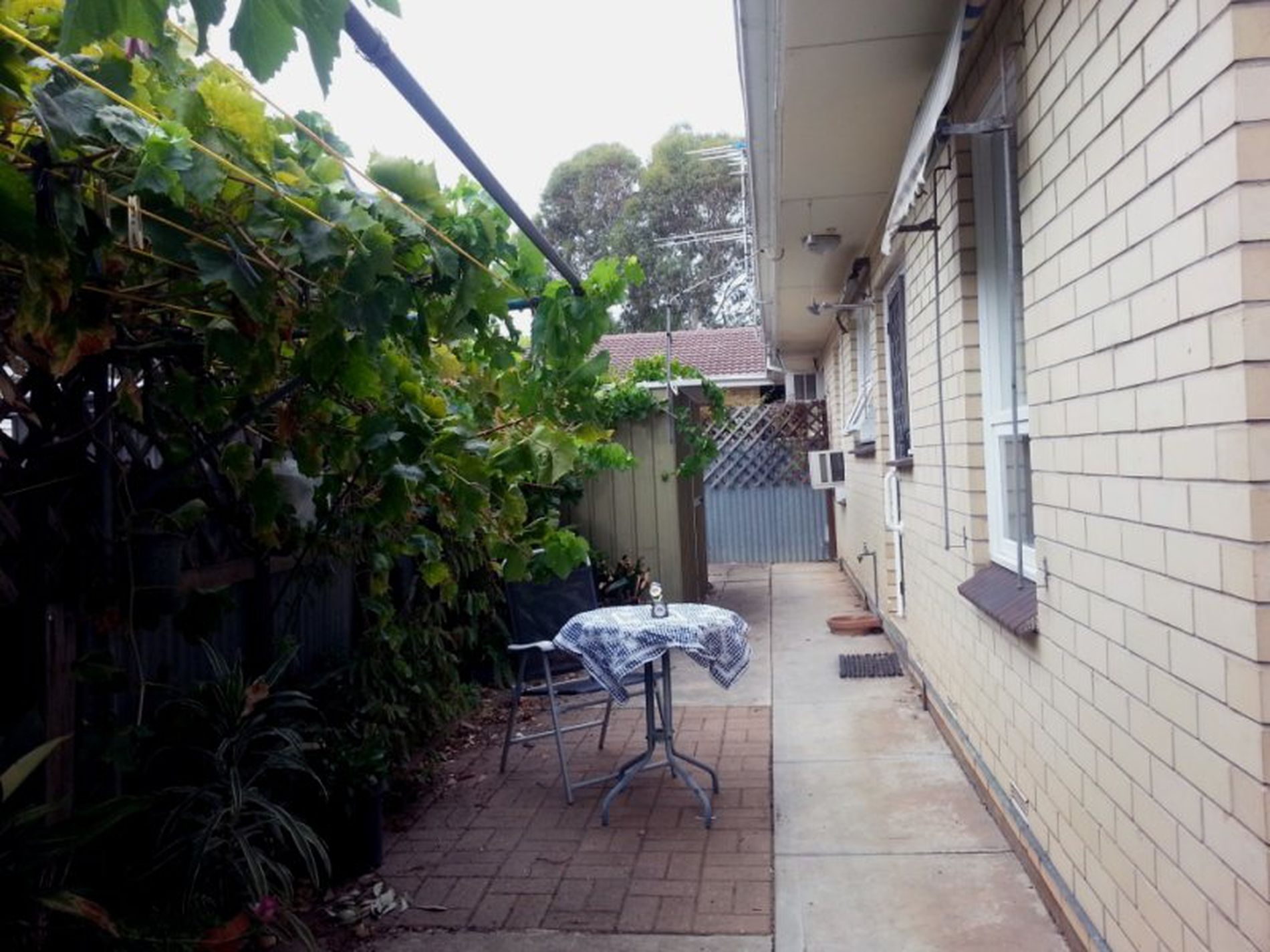 3 / 20 Charles Street, Plympton