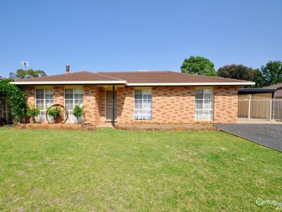17 Pegasus Place, Dubbo