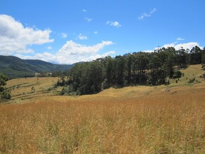 Office HUON / Highway, Dover