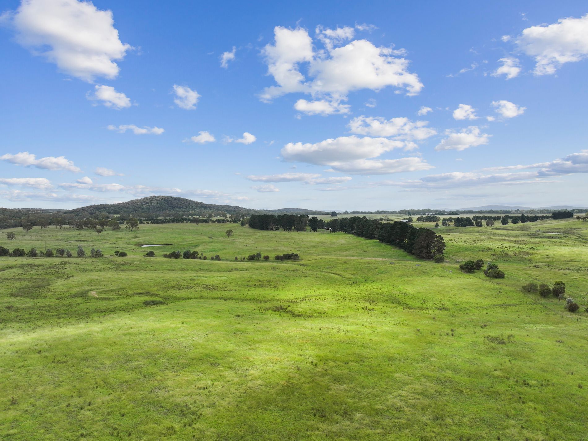 1199 Mayfield Road, Braidwood