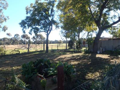 14 Bundemar Street, Wongarbon