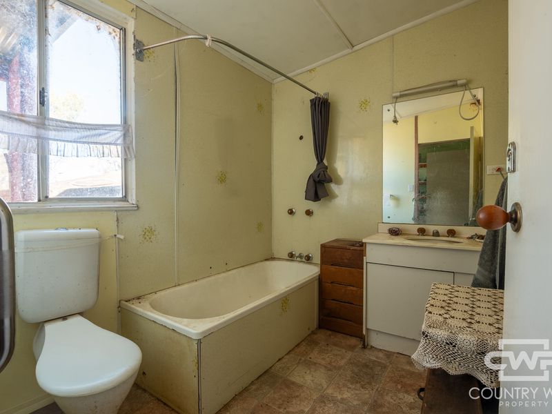 1043 Wallangra Road, Wallangra