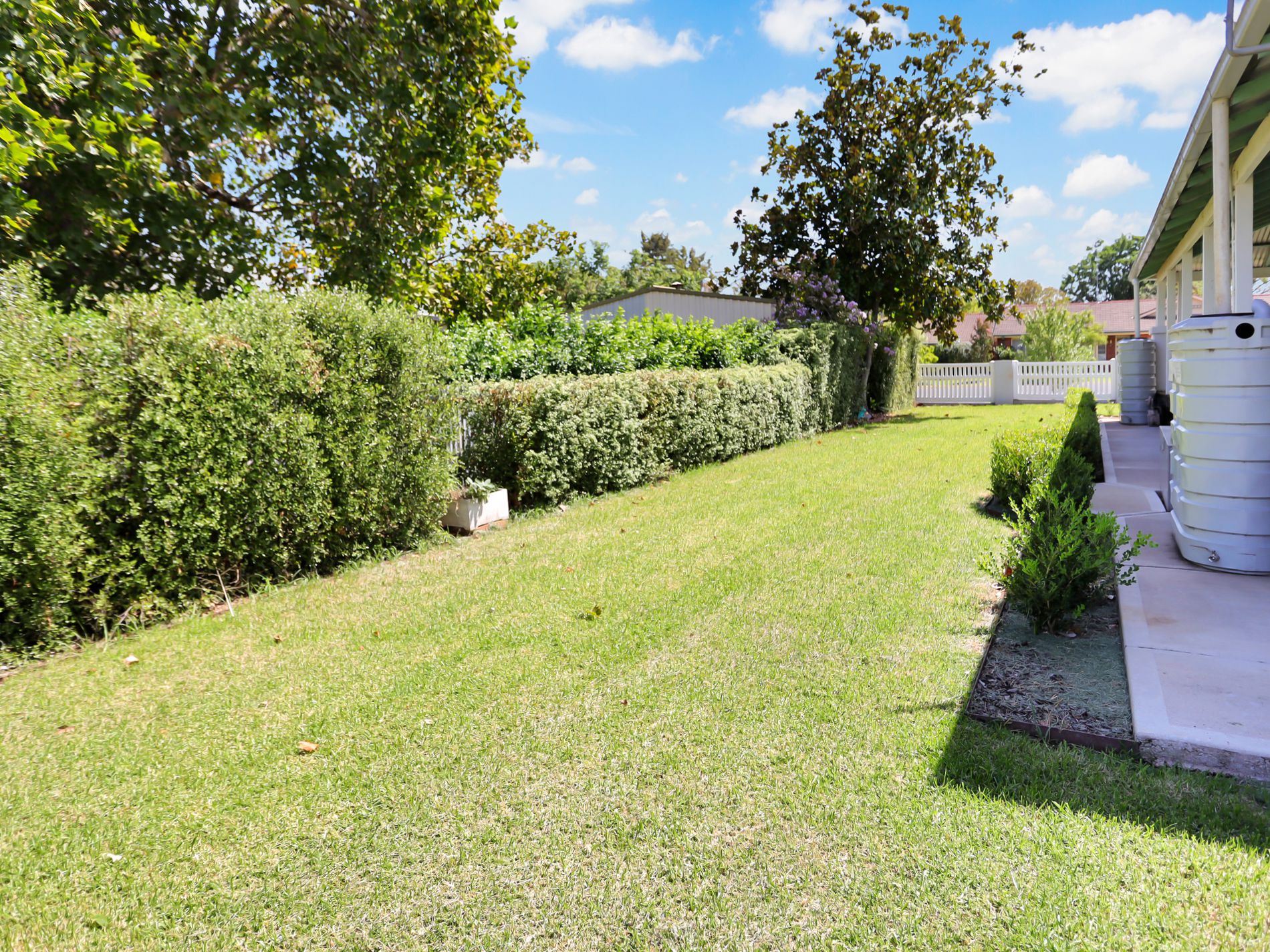 17 Regent Street, Forbes