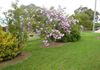 65 Park Street, Molong