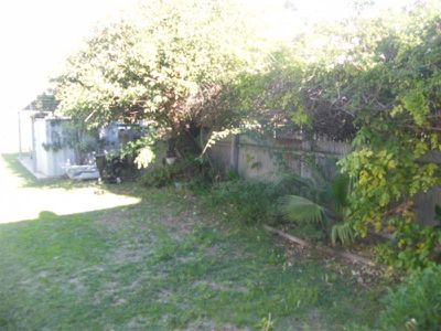 24 Farrand St, Forbes