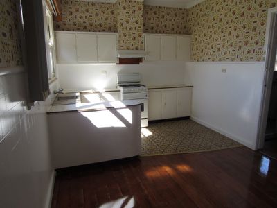 16 Griffen Street, Hamlyn Heights