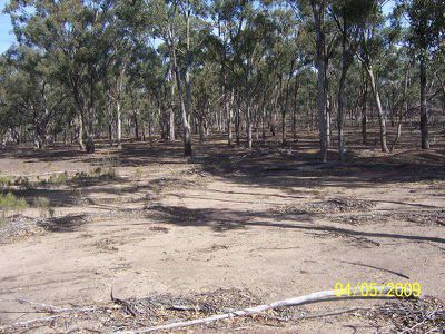 Willows Road, Murchison