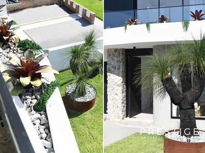 16 Carlton Street, Arncliffe