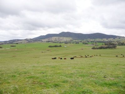 Yackandandah Myrtleford Road, Yackandandah
