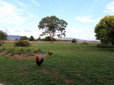 15 Strathmore Drive, Forest Grove