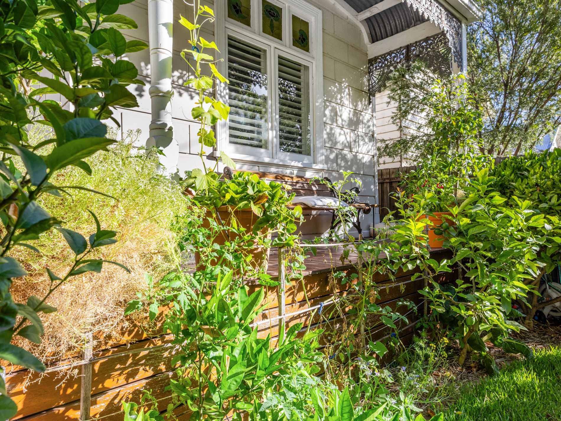 125 Ormond Street, Kensington