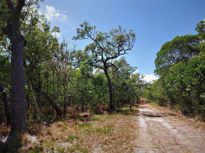 1105 Mount Amos Road, Cooktown