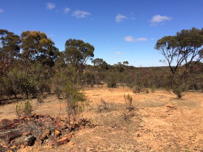 Lot 11 Gibson Road, Wedderburn