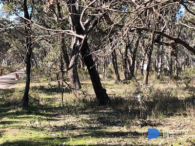 Lot 18 & 19, Derby Road, Campbells Forest