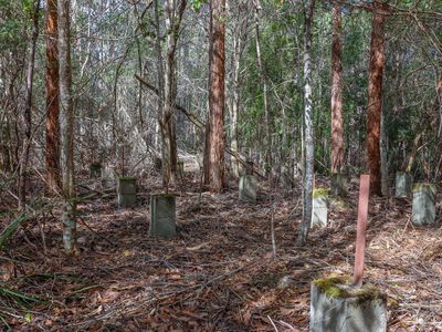 Lot 1, Link Road, Lonnavale