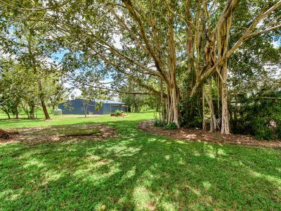 675 Reedbeds Rd, Darwin River