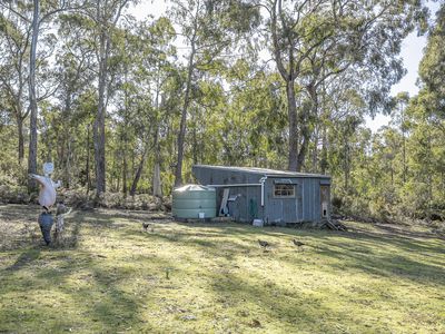 654 Abels Bay Road, Eggs And Bacon Bay