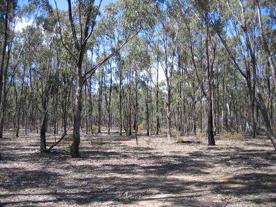LOT 38 CHAPMANS LANE, Redcastle