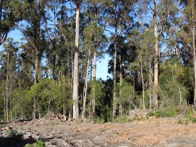 Block At Sandhill Road, Cradoc