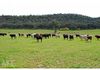 453 Larras Lee Road, Larras Lee