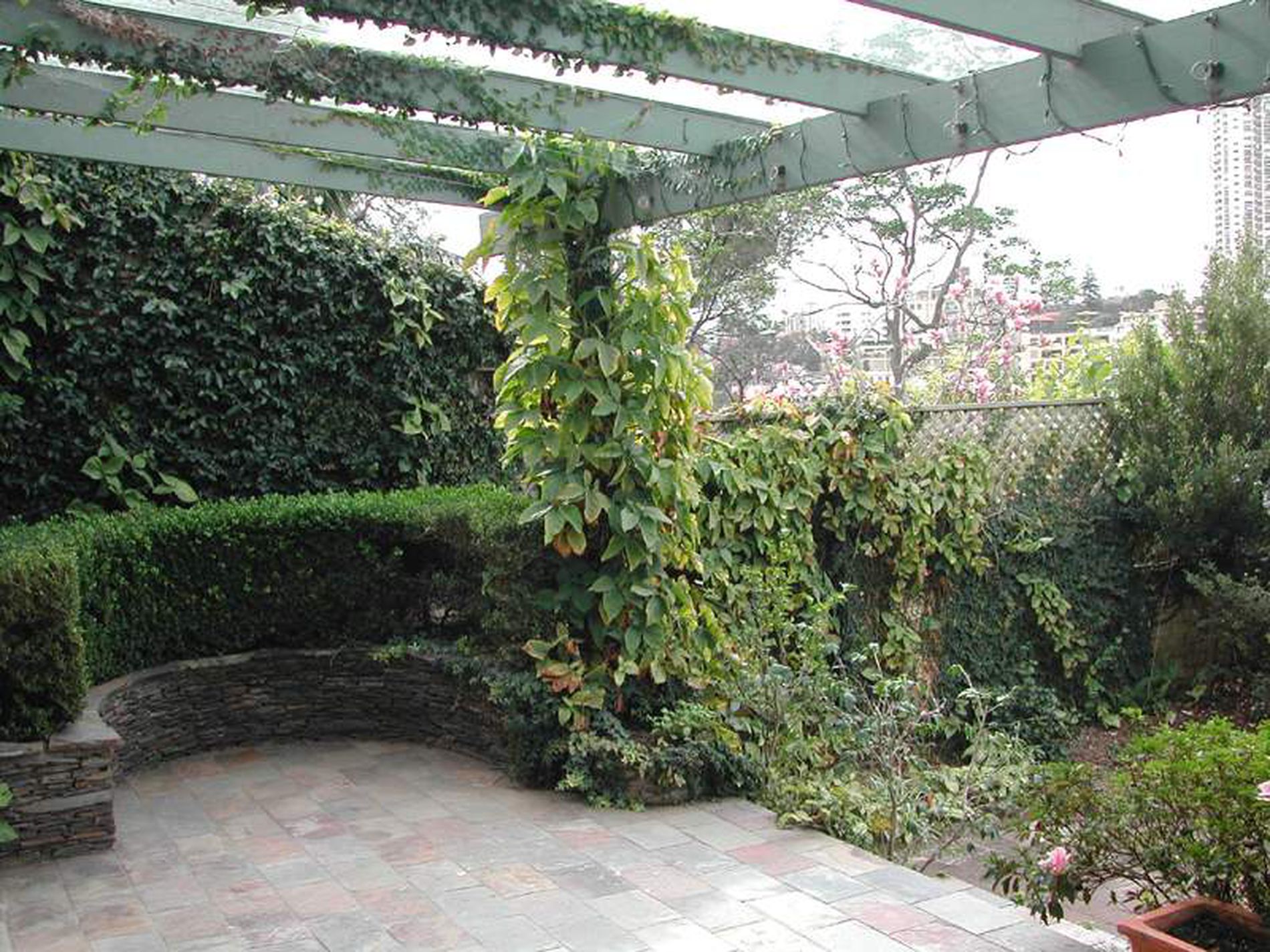 5 Cambridge Lane, Paddington