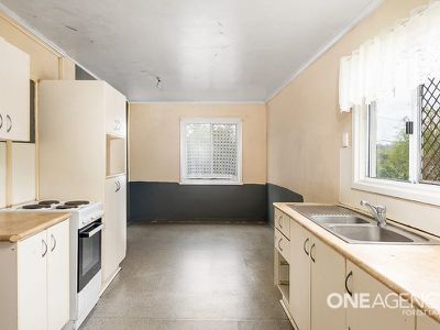 17 Warbler St, Inala