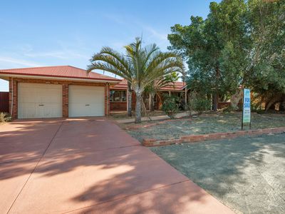 7 Hitchcock Street, Somerville