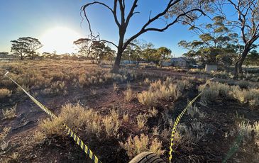 42 West Street, Bullfinch
