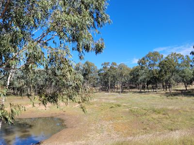 0 Goanna Flats Rd  Rubyvale, Rubyvale